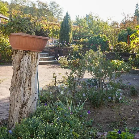 Amazing In W/ Outdoor Swimming Pool And 4 Bedrooms 度假居