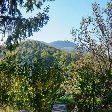 Amazing In W/ Outdoor Swimming Pool And 4 Bedrooms 度假居 *